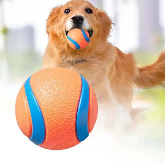 TurboBounce Fetch Ball
