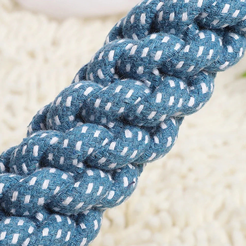 Dual-Loop Chew Trainer