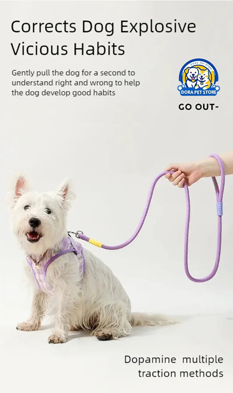 DopamineWalk Dog Leash