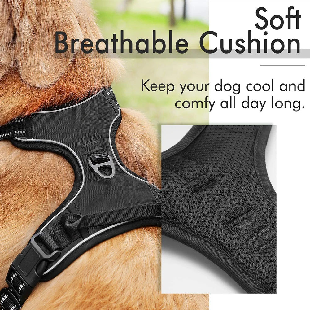 Borksy FreedomFit Harness