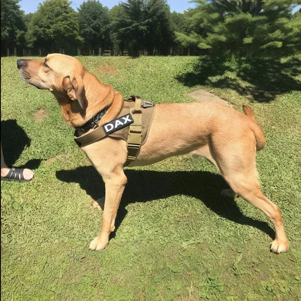 Borksy Guardian Tactical Harness