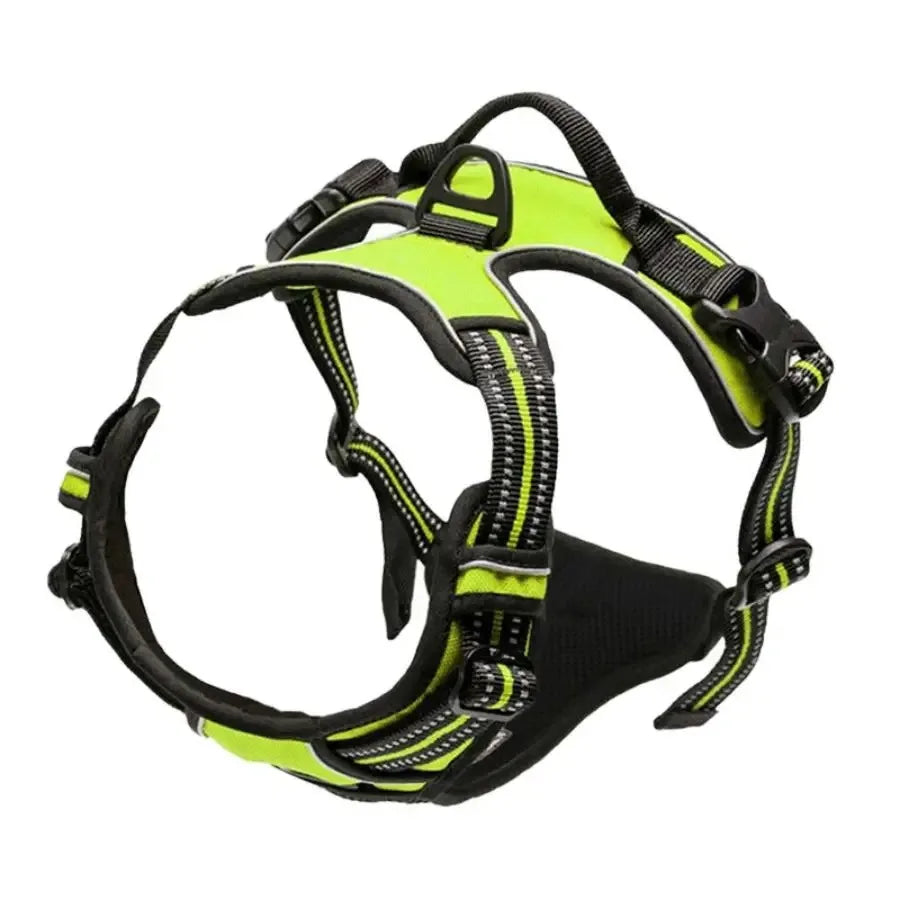 Borksy Atlas Harness