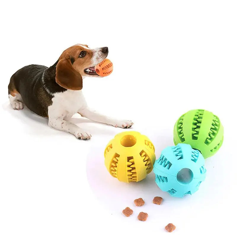 TreatClean Chew Ball