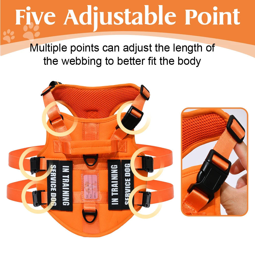 Handler Pro Harness