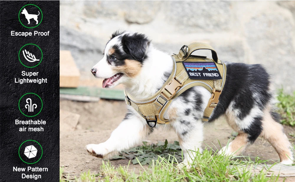 Tiny Titan Harness