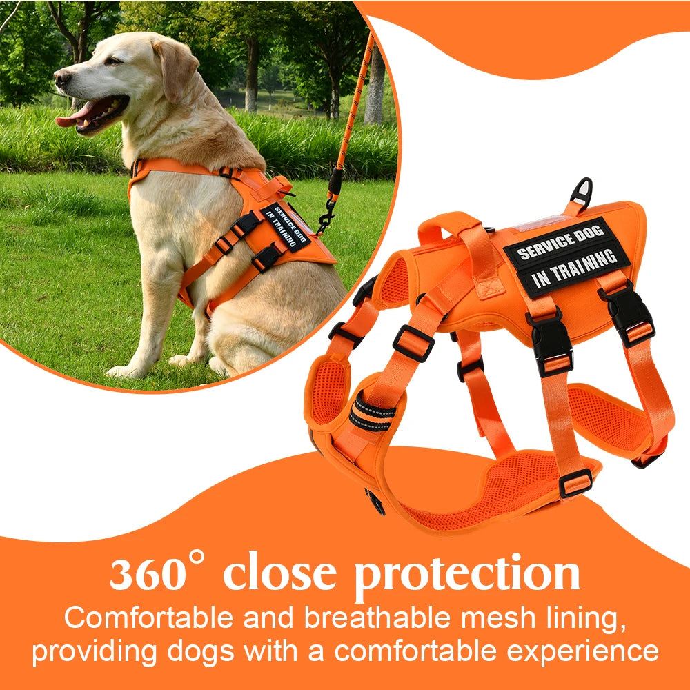 Handler Pro Harness