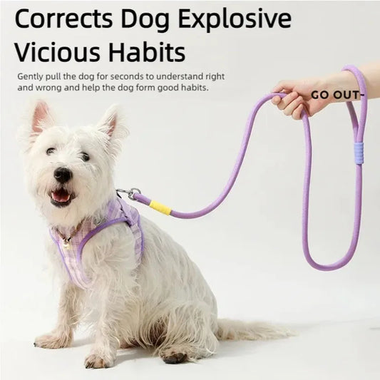 DopamineWalk Dog Leash