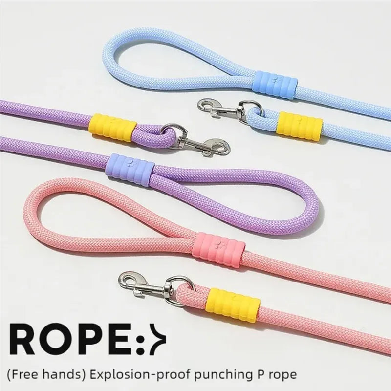 DopamineWalk Dog Leash