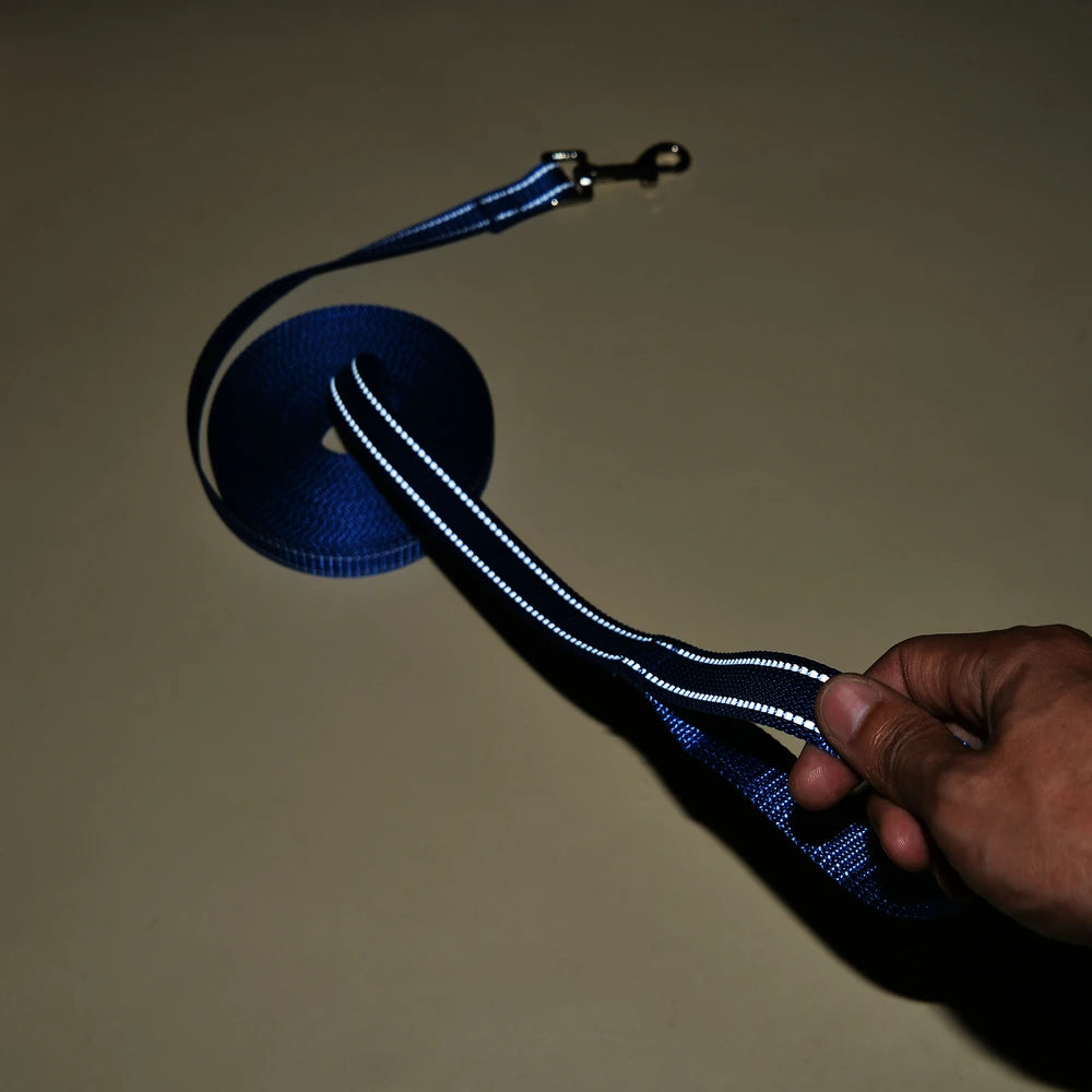 Nylon Reflective Dog Leash Long Training and Walking Lead for Small Medium and Large Dogs