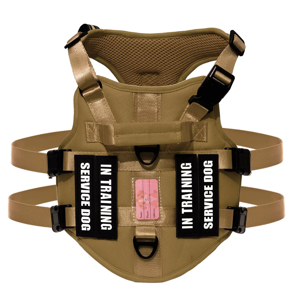 Handler Pro Harness