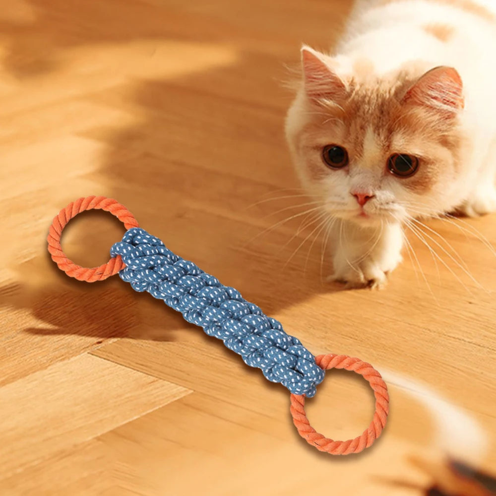 Dual-Loop Chew Trainer