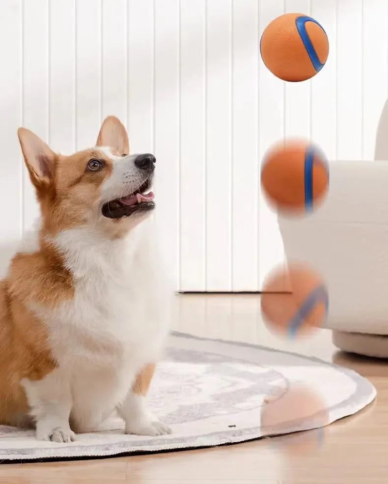 TurboBounce Fetch Ball