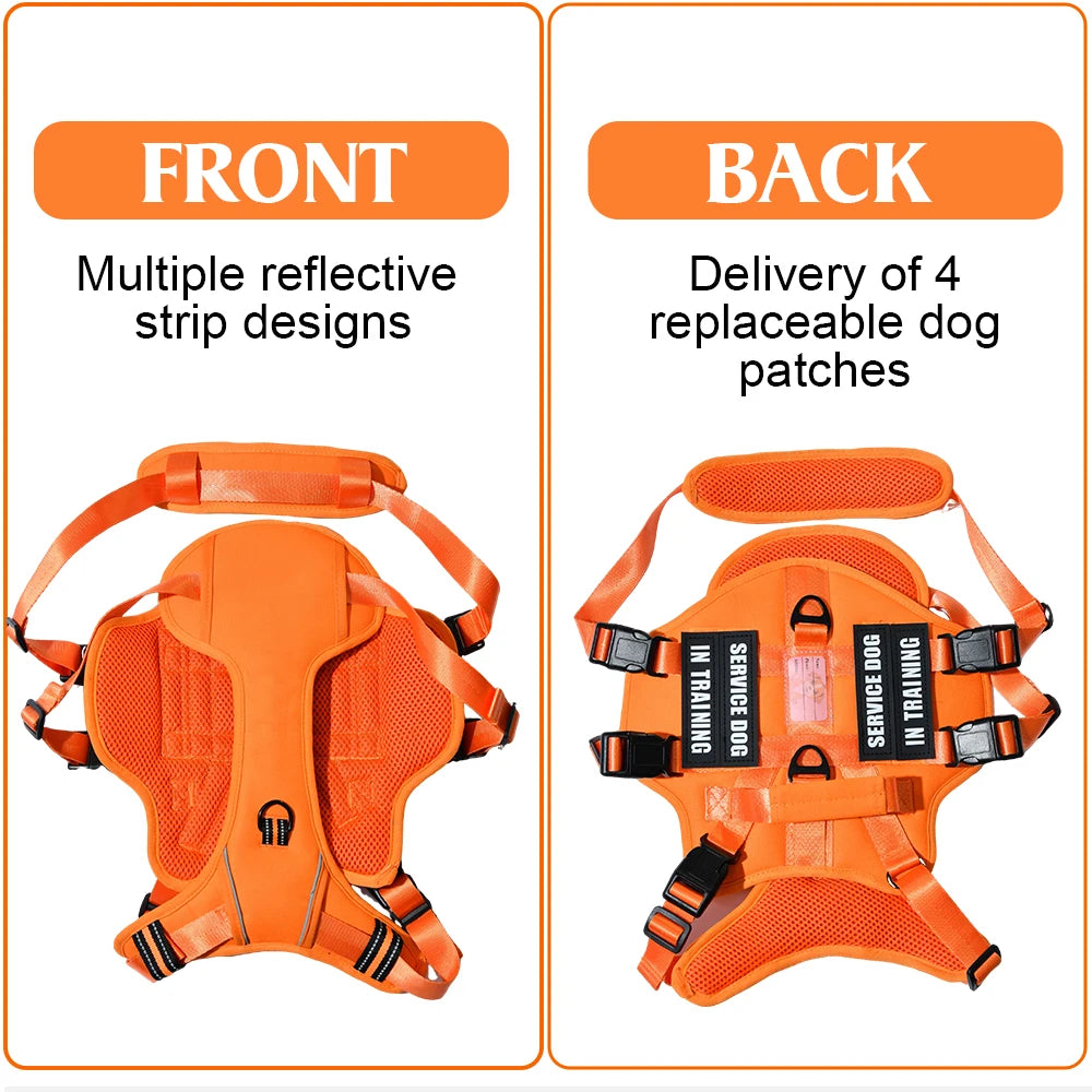 Handler Pro Harness