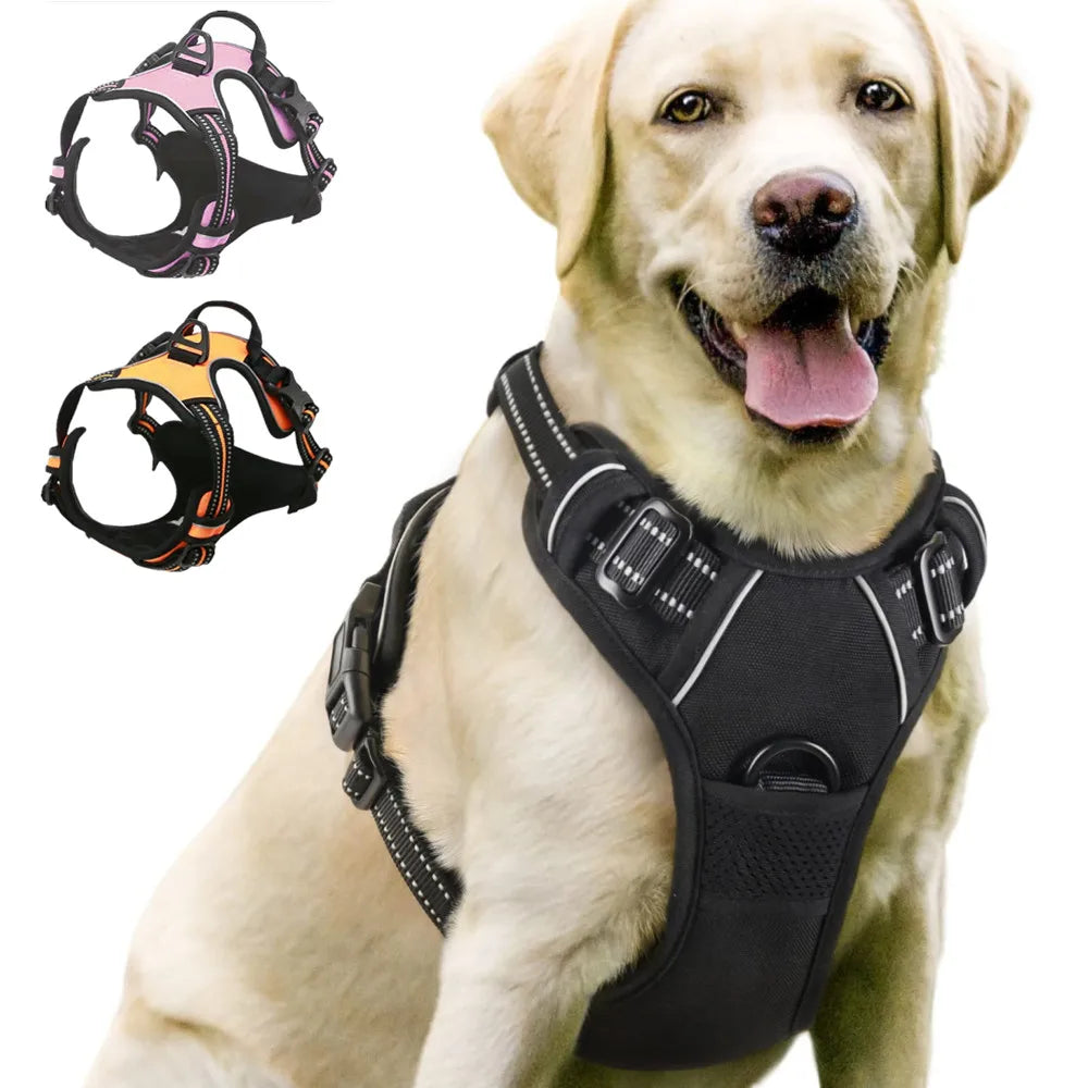 Borksy FreedomFit Harness