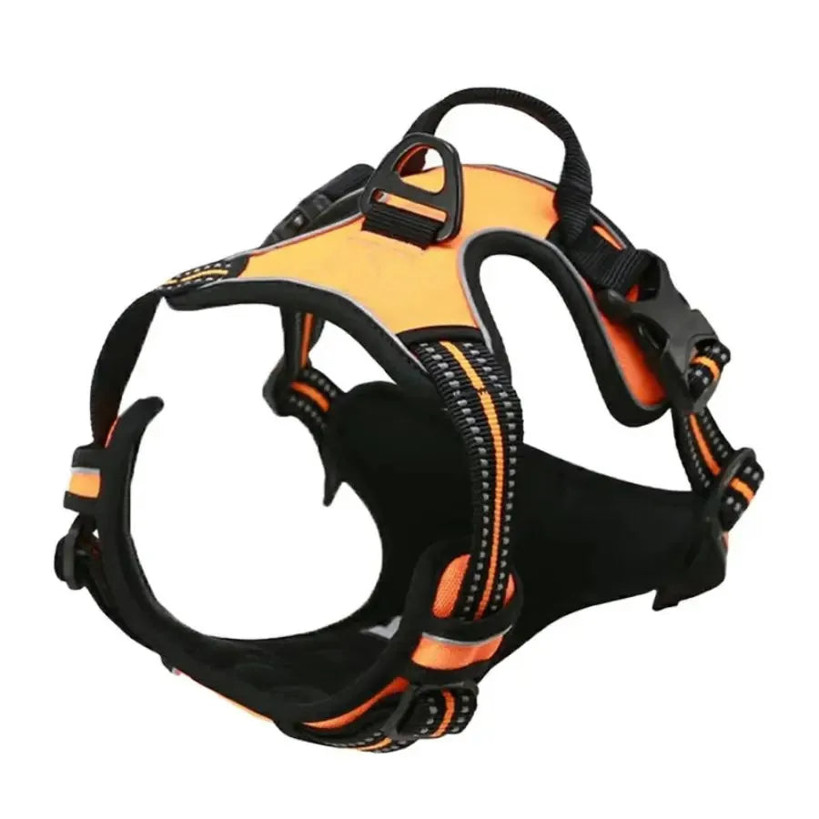 Borksy Atlas Harness
