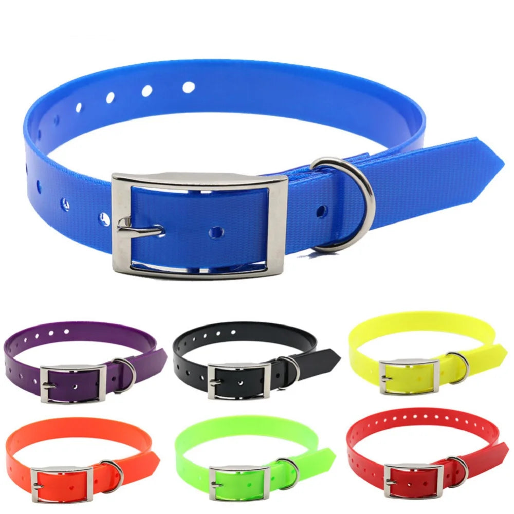 AquaGuard Waterproof Dog Collar