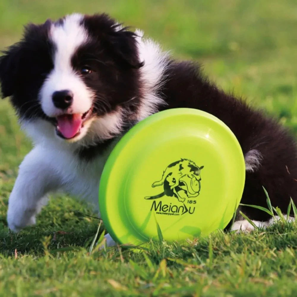 AeroCatch Dog Training Disc