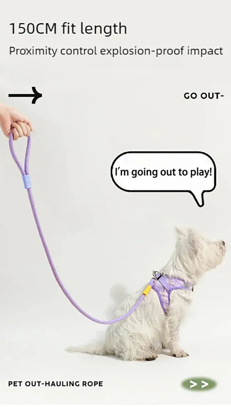 DopamineWalk Dog Leash