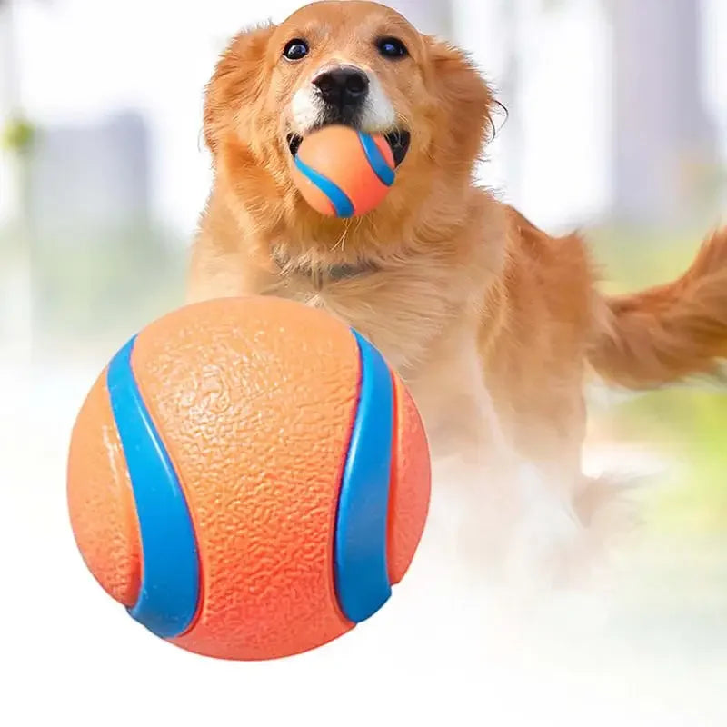 TurboBounce Fetch Ball