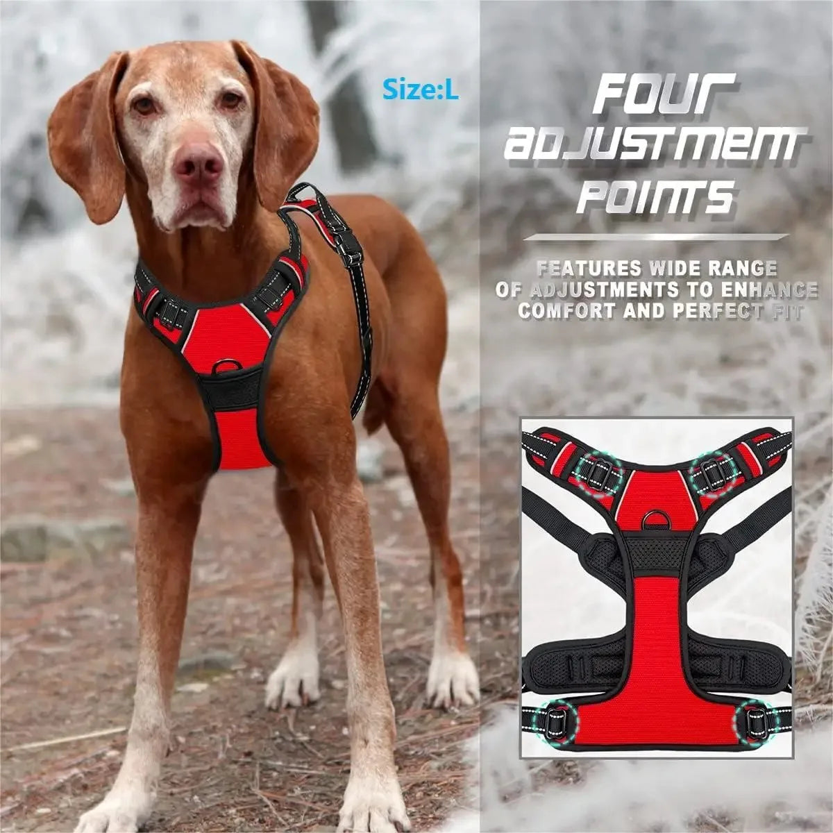 Borksy Atlas Harness