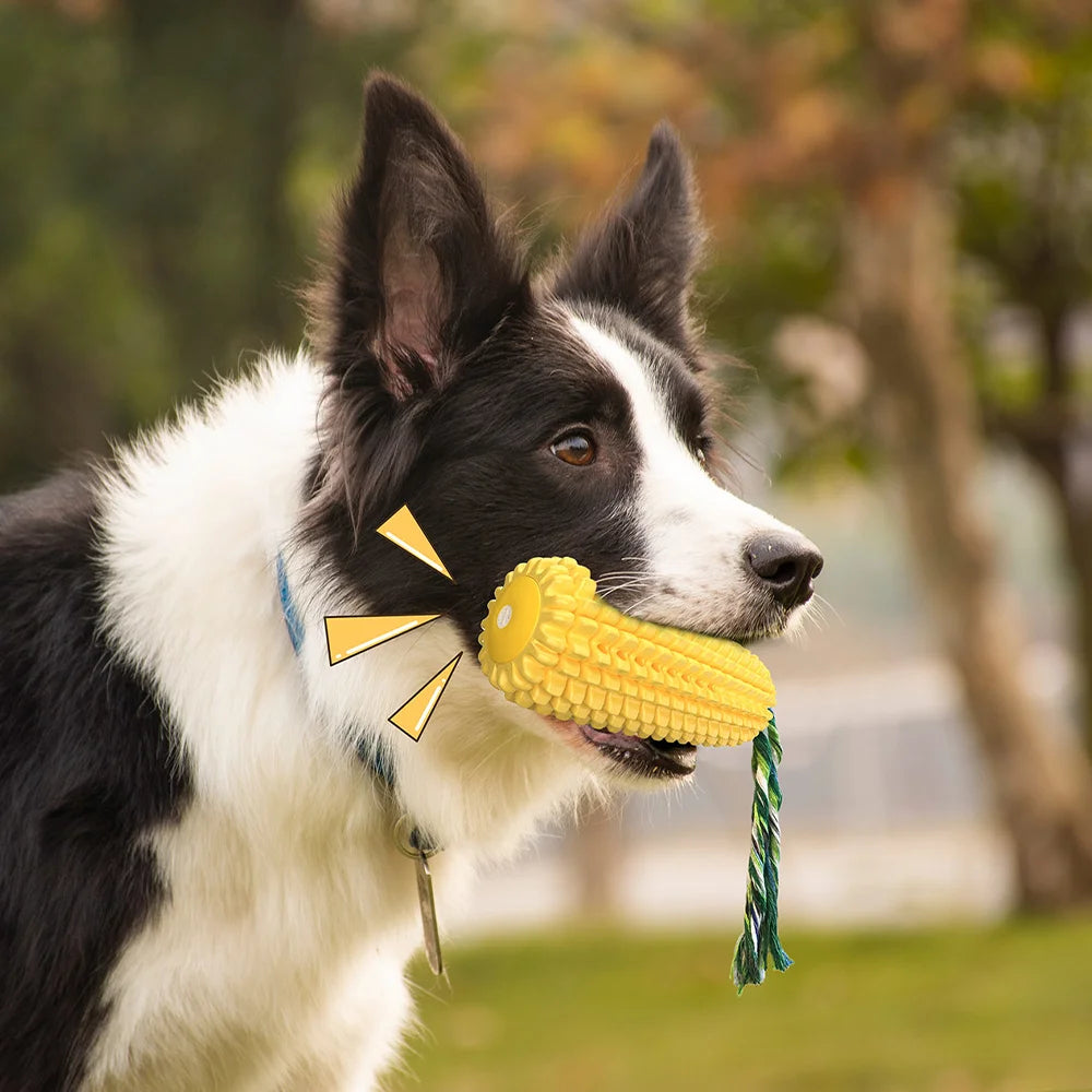 Borksy Corn Cob style Chewer