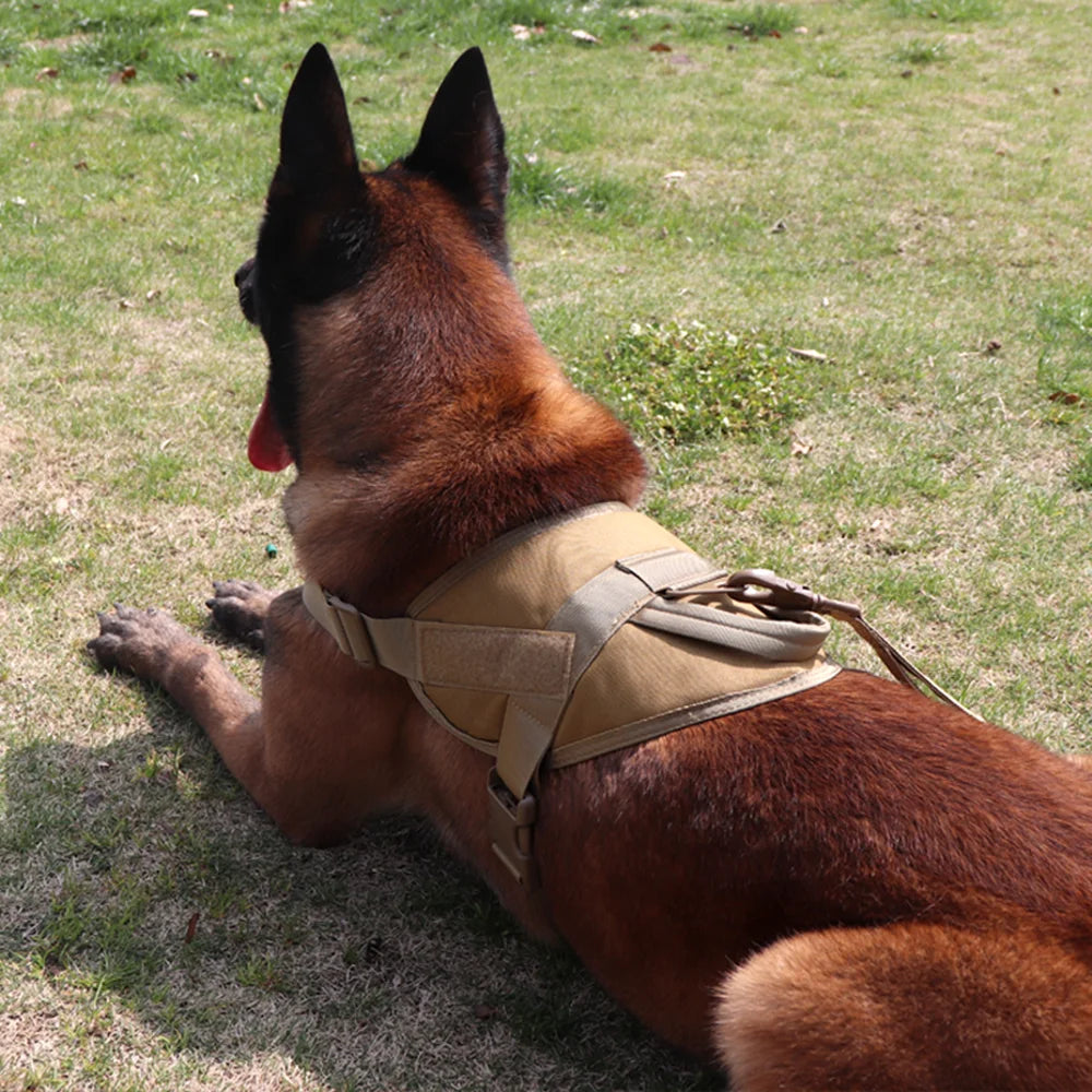 Borksy K9 Elite Harness