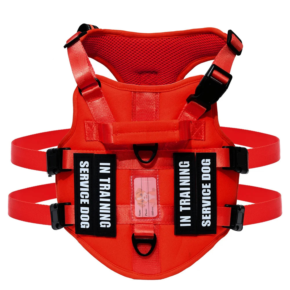 Handler Pro Harness