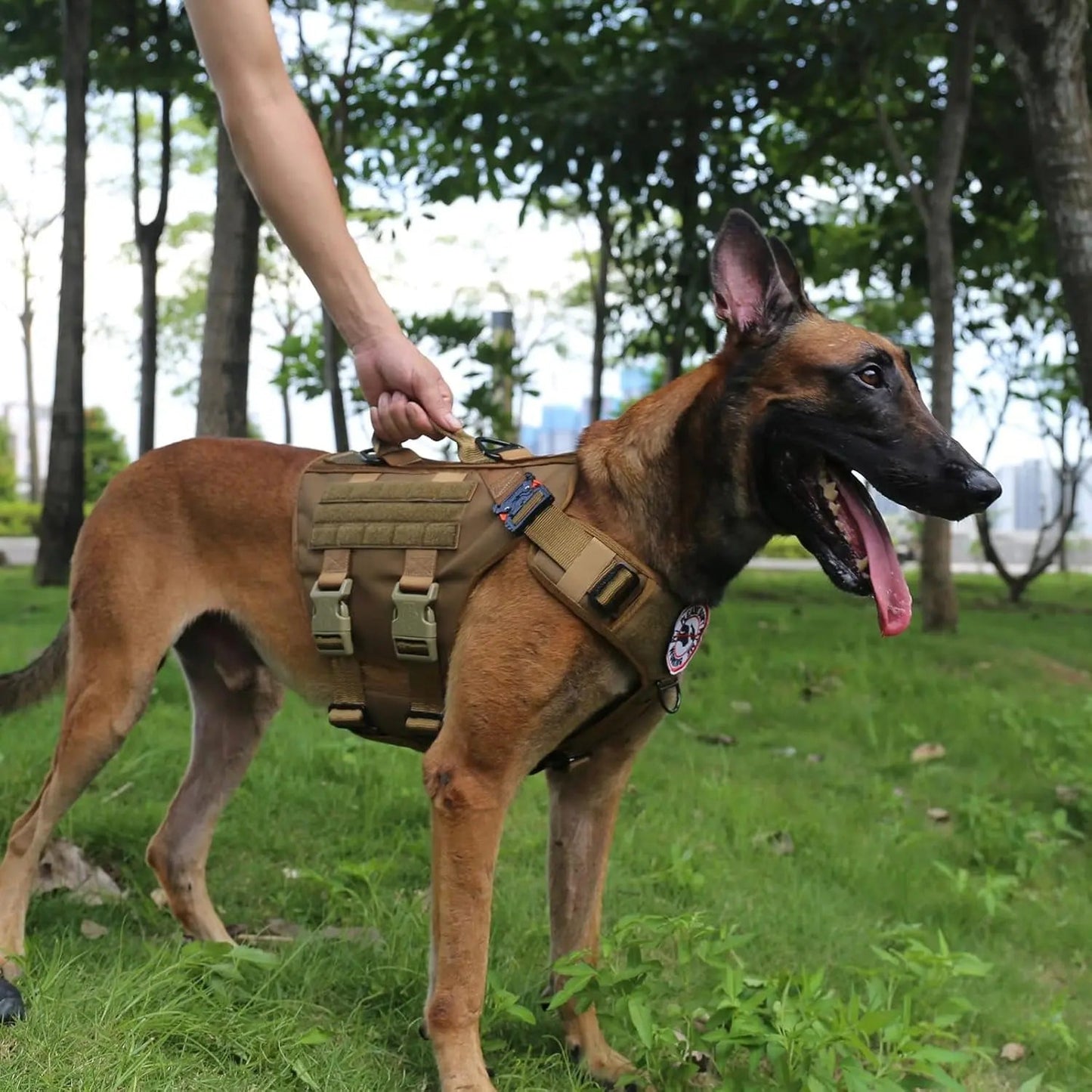 Tactical Dog Harness 6 Buckle No Pull MOLLE