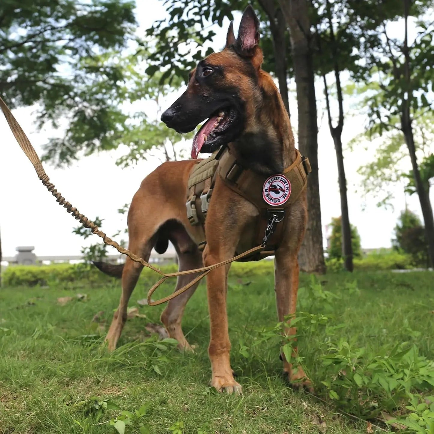 Tactical Dog Harness 6 Buckle No Pull MOLLE