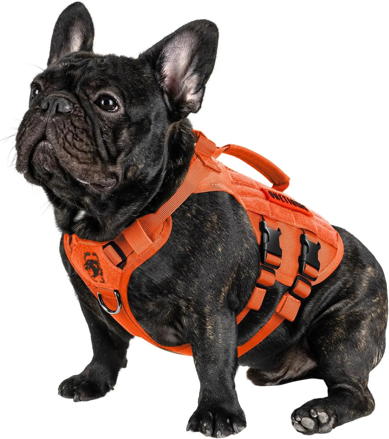 Tactical No-Pull Dog Harness