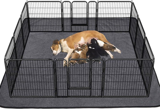 Washable Pee Pads for Dogs