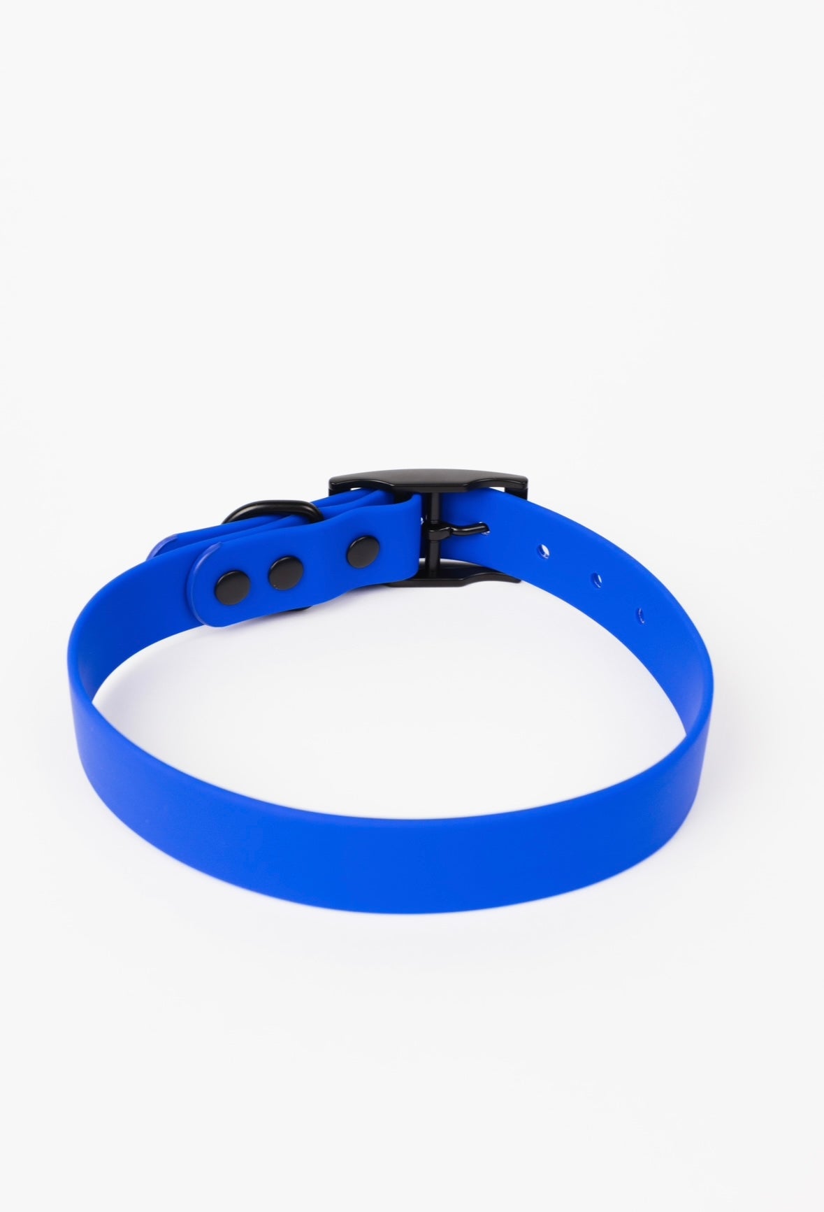 The Modern Dog Company - Royal Blue Collar (Weather + Odor Resistant)