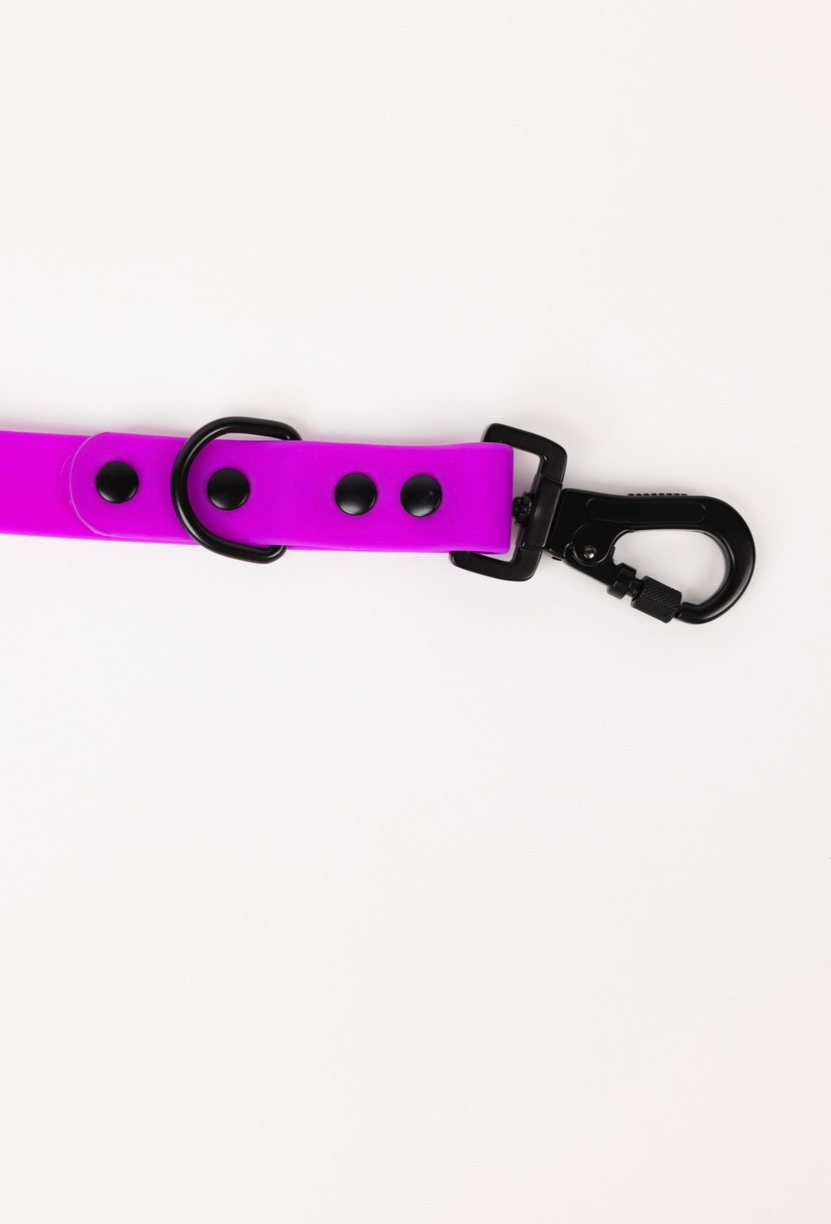 The Modern Dog Company - Electric Fuchsia Leash (Weather + Odor Resistant)