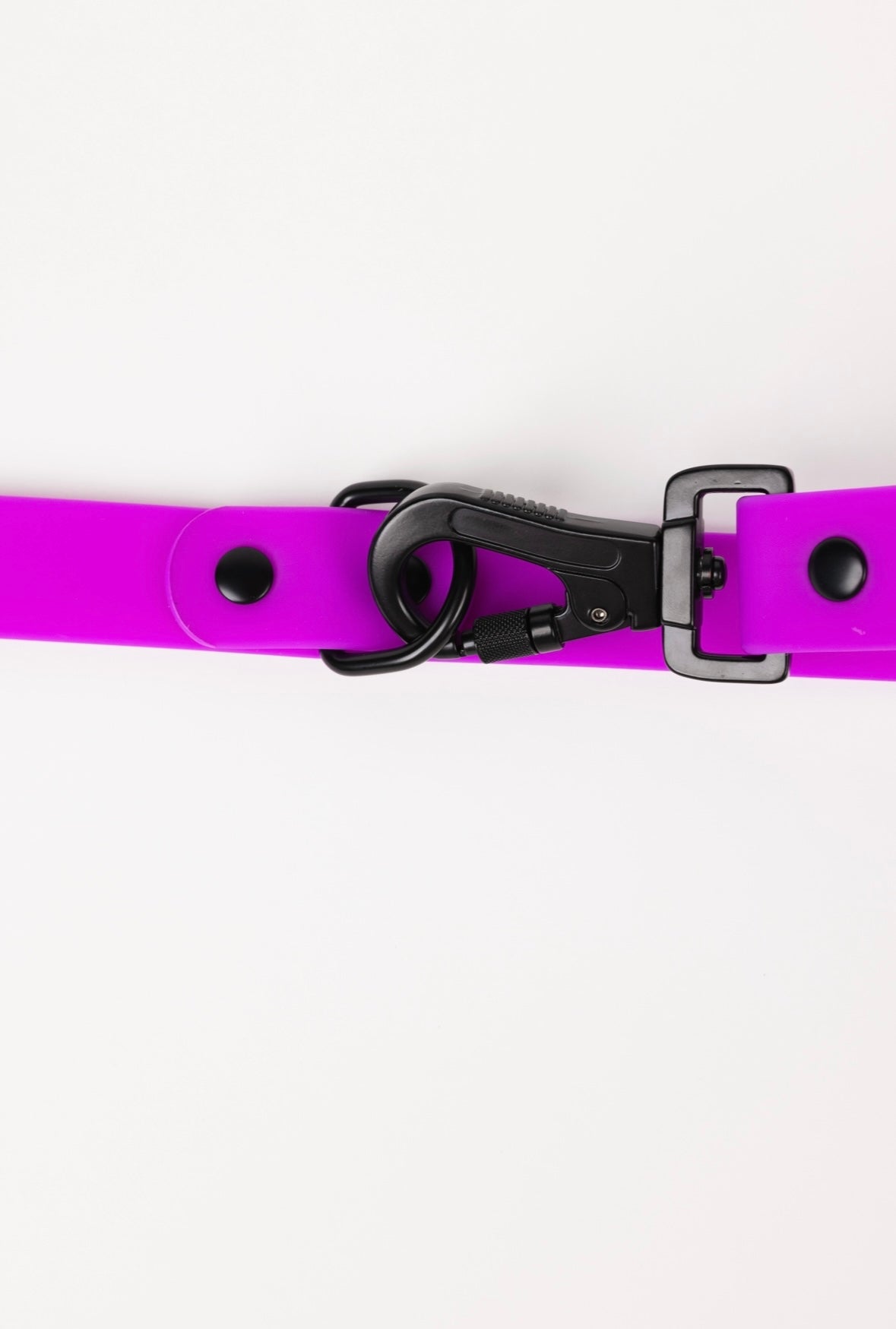 The Modern Dog Company - Electric Fuchsia Leash (Weather + Odor Resistant)